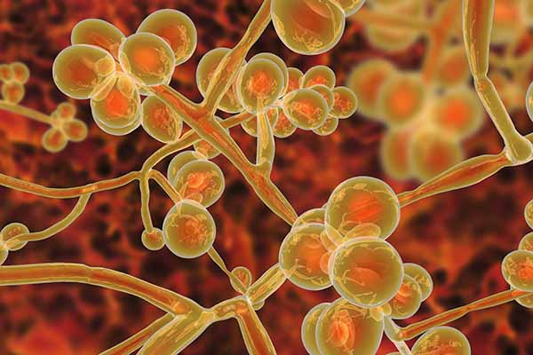multidrug_resistant_bacteria_2 multidrug_resistant_bacteria_2